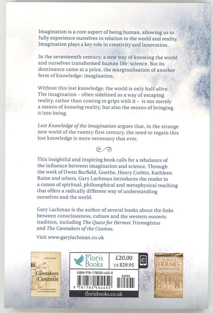 Lost Knowledge of the Imagination - The Bookstore