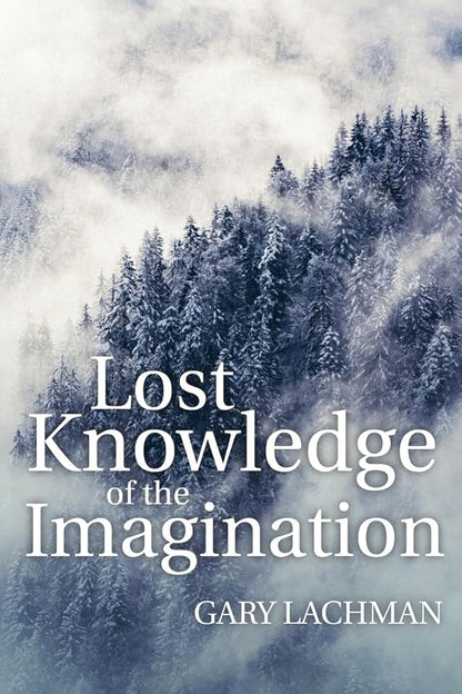 Lost Knowledge of the Imagination - The Bookstore