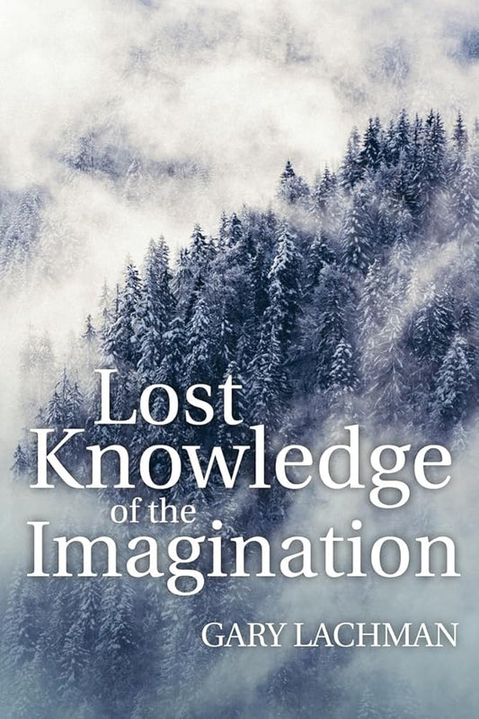 Lost Knowledge of the Imagination - The Bookstore