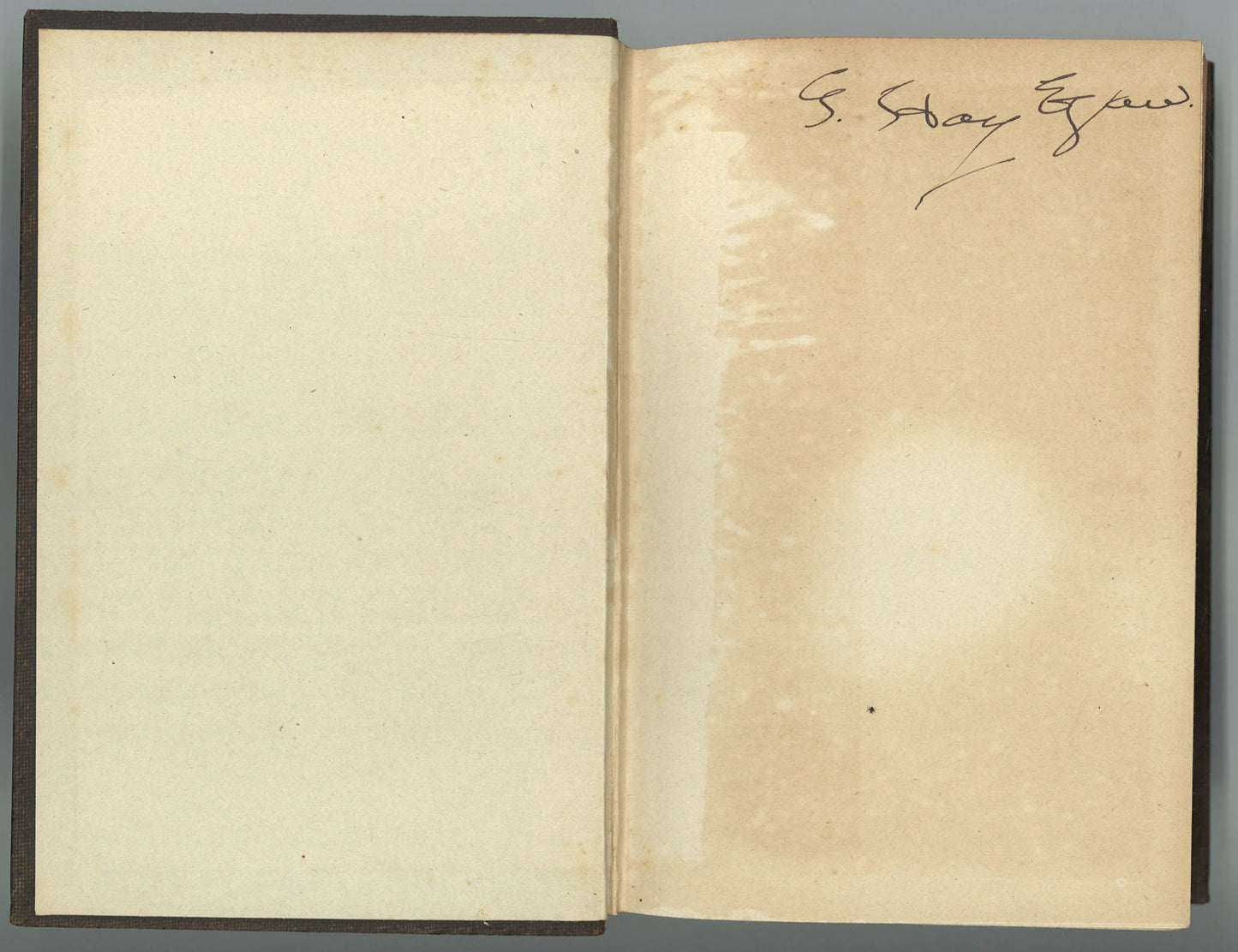 Madame Curie - The Bookstore