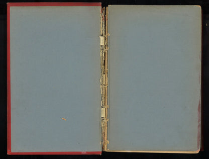 Mémoires d'un Éléphant blanc (1910) French