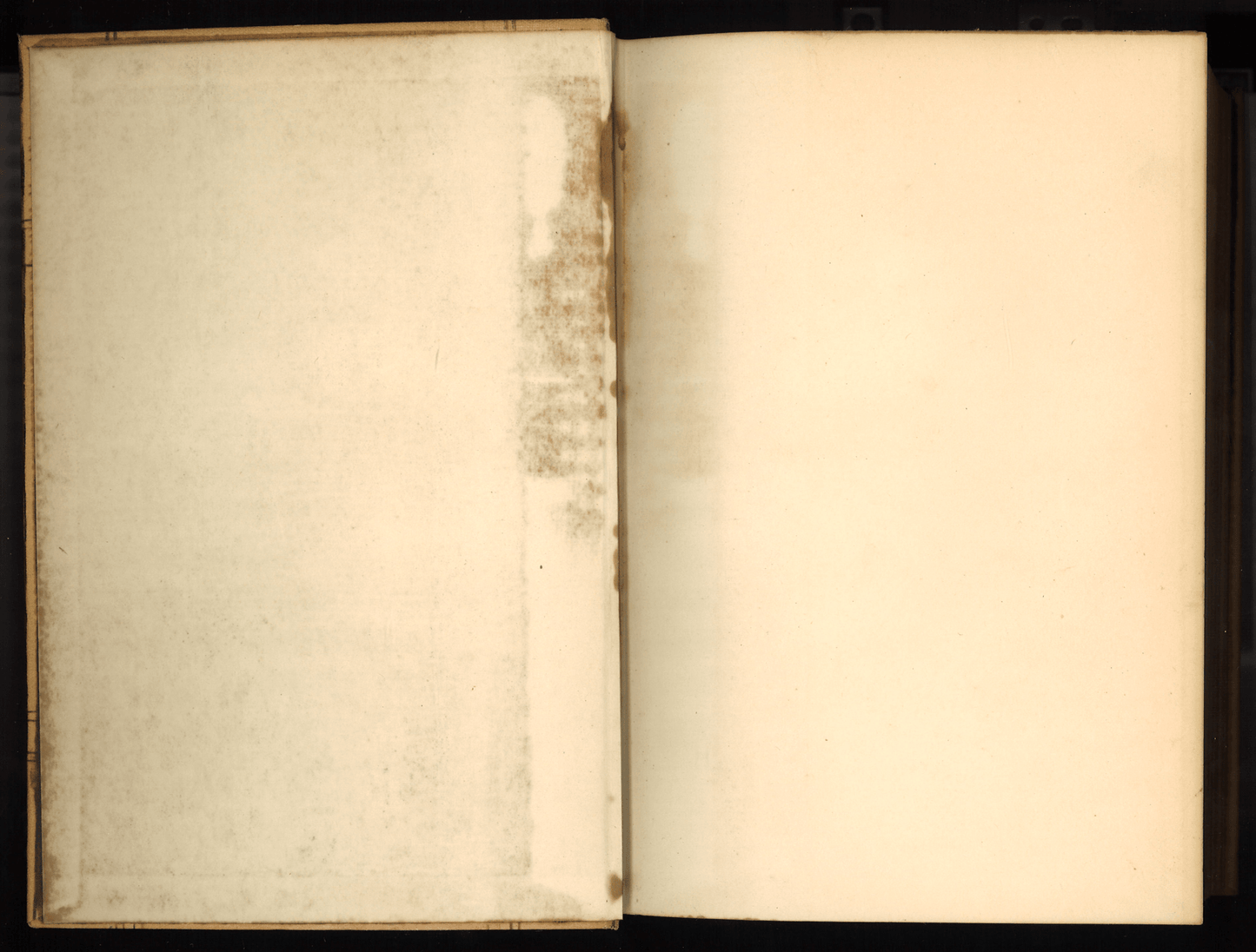 Mennonite Community Cookbook: Favorite Family Recipes - The Bookstore