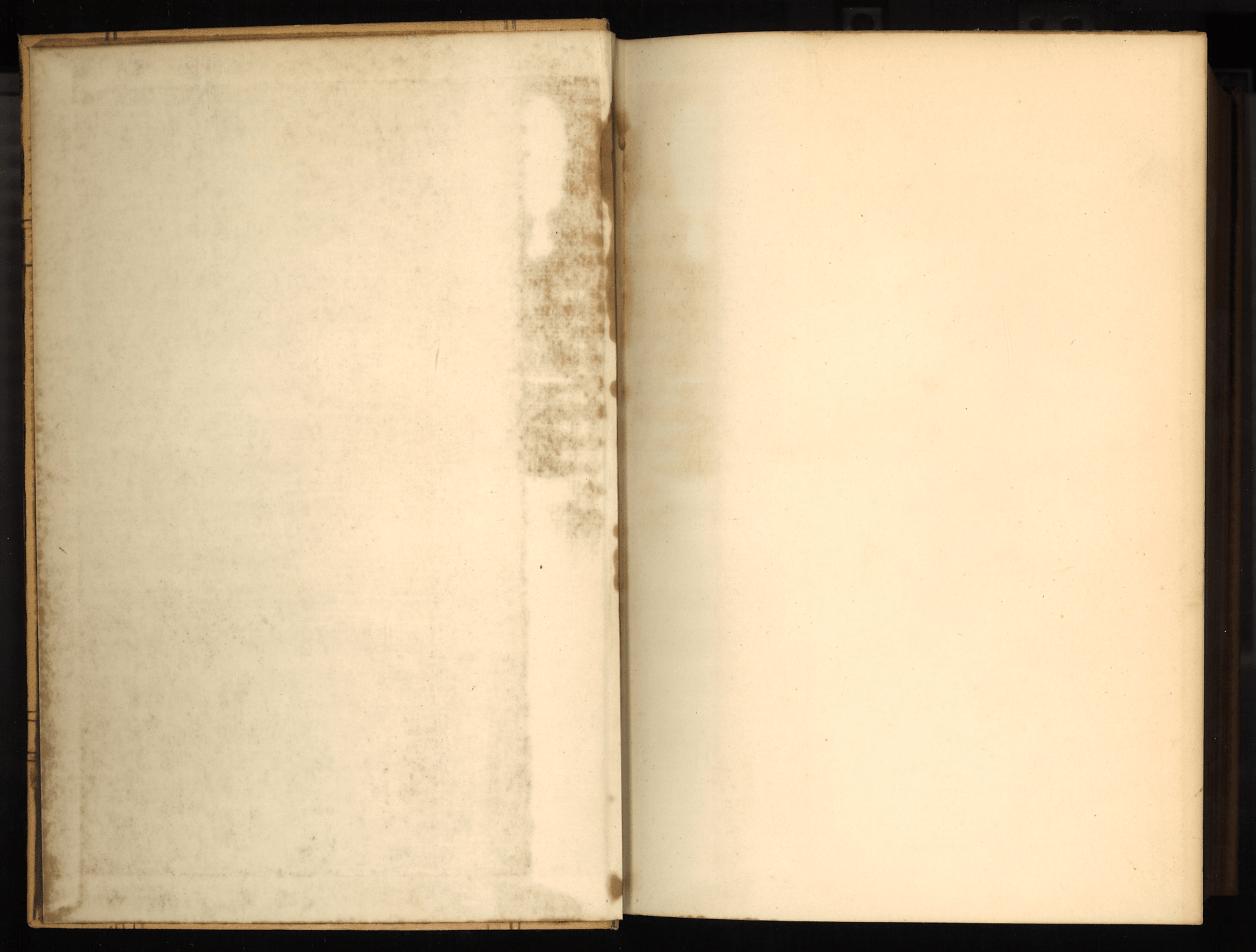Mennonite Community Cookbook: Favorite Family Recipes - The Bookstore