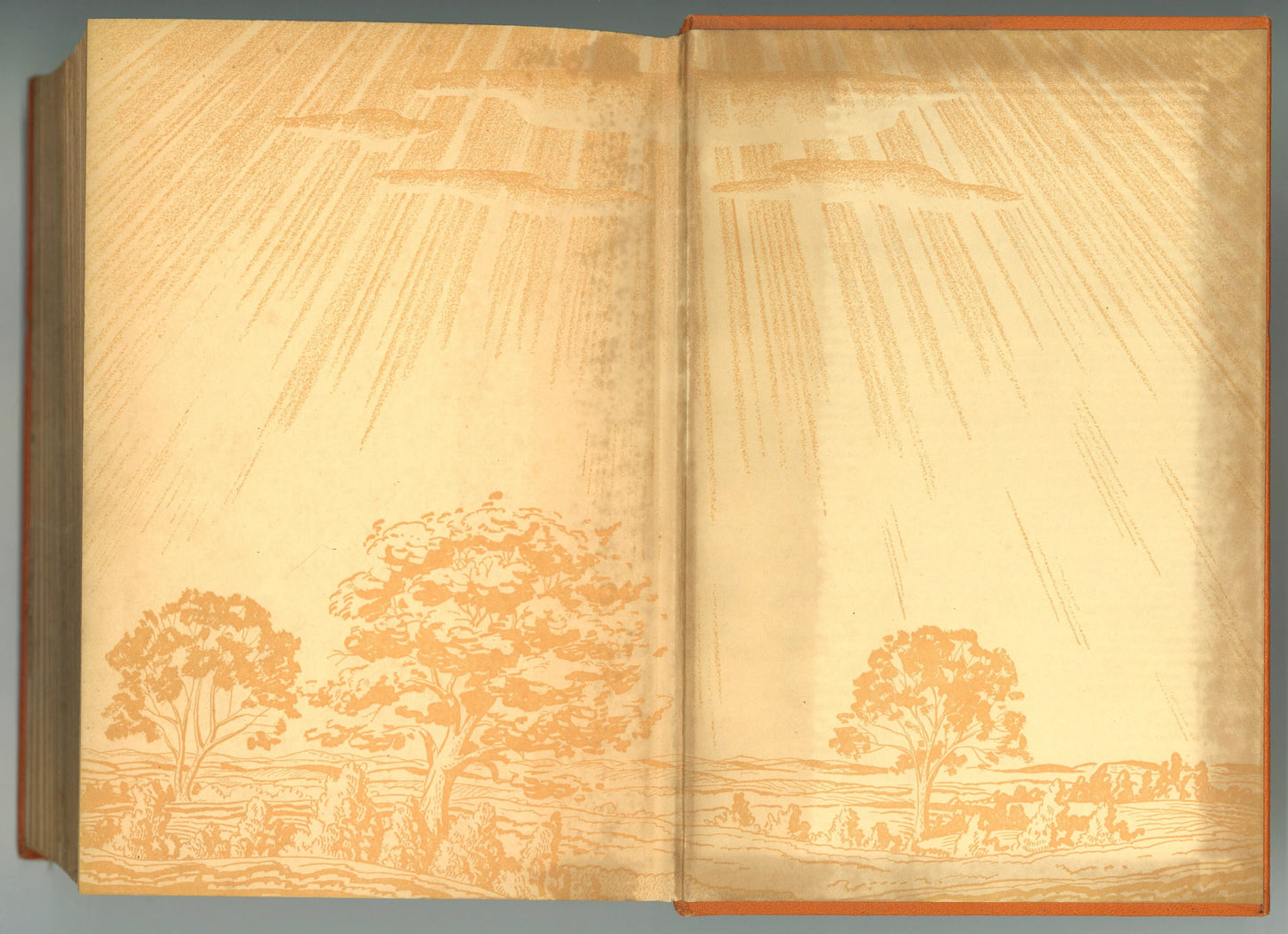 Moccasin Trail: The Story of a Boy Who Took the Trail with Kit Carson - The Bookstore