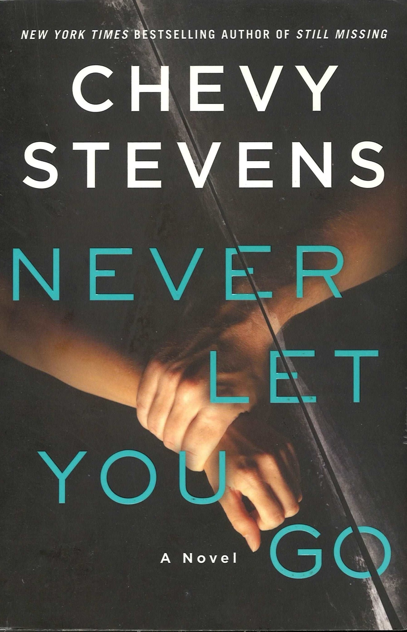 Never Let You Go by Chevy Stevens - The Bookstore