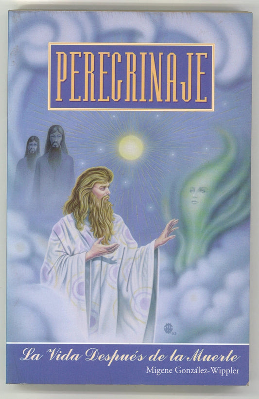 Peregrinaje: la vida después de la muerte (Spanish) - The Bookstore