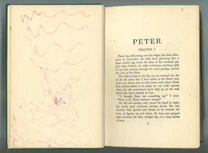 Peter: A Novel Of Which He Is Not The Hero - The Bookstore
