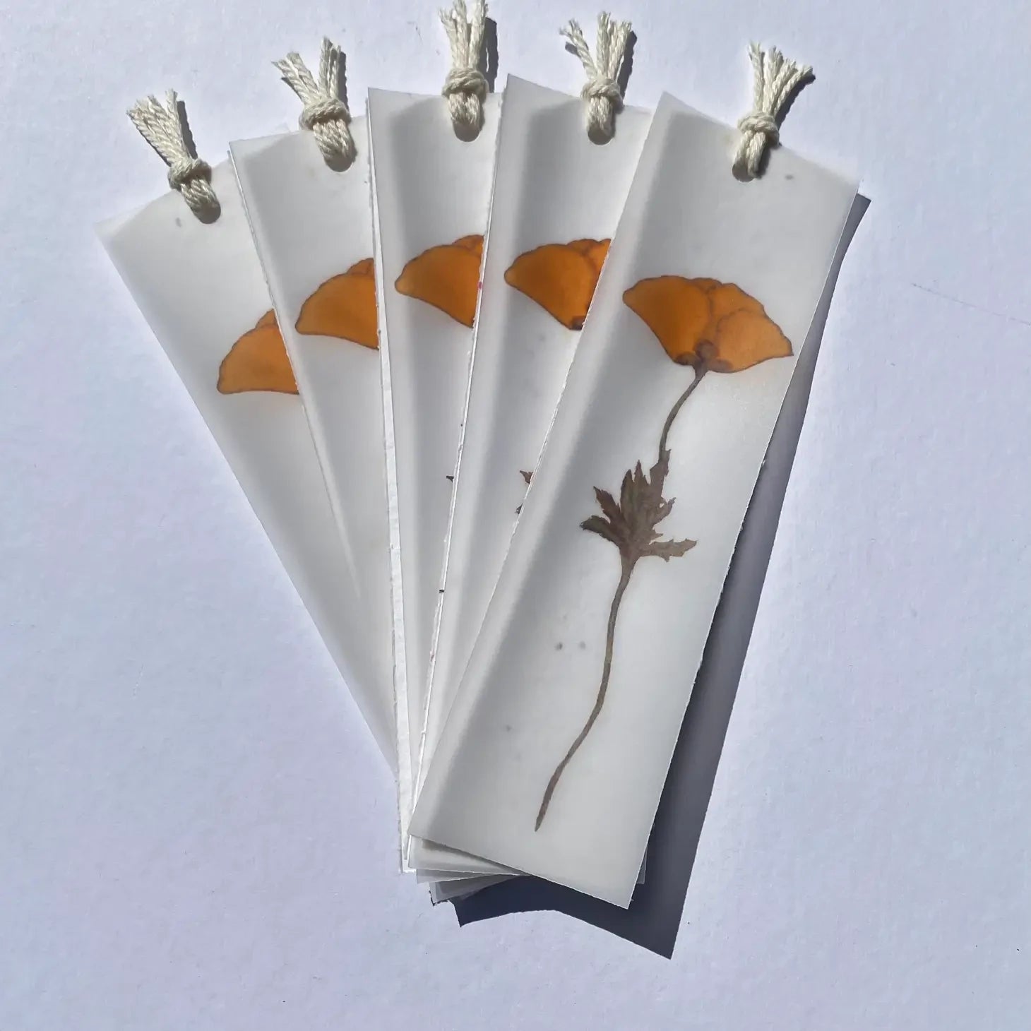 Plantable 2-in-1 Bookmark My Store