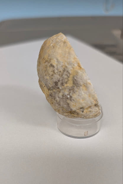 Polished Half Geode Czzjsan
