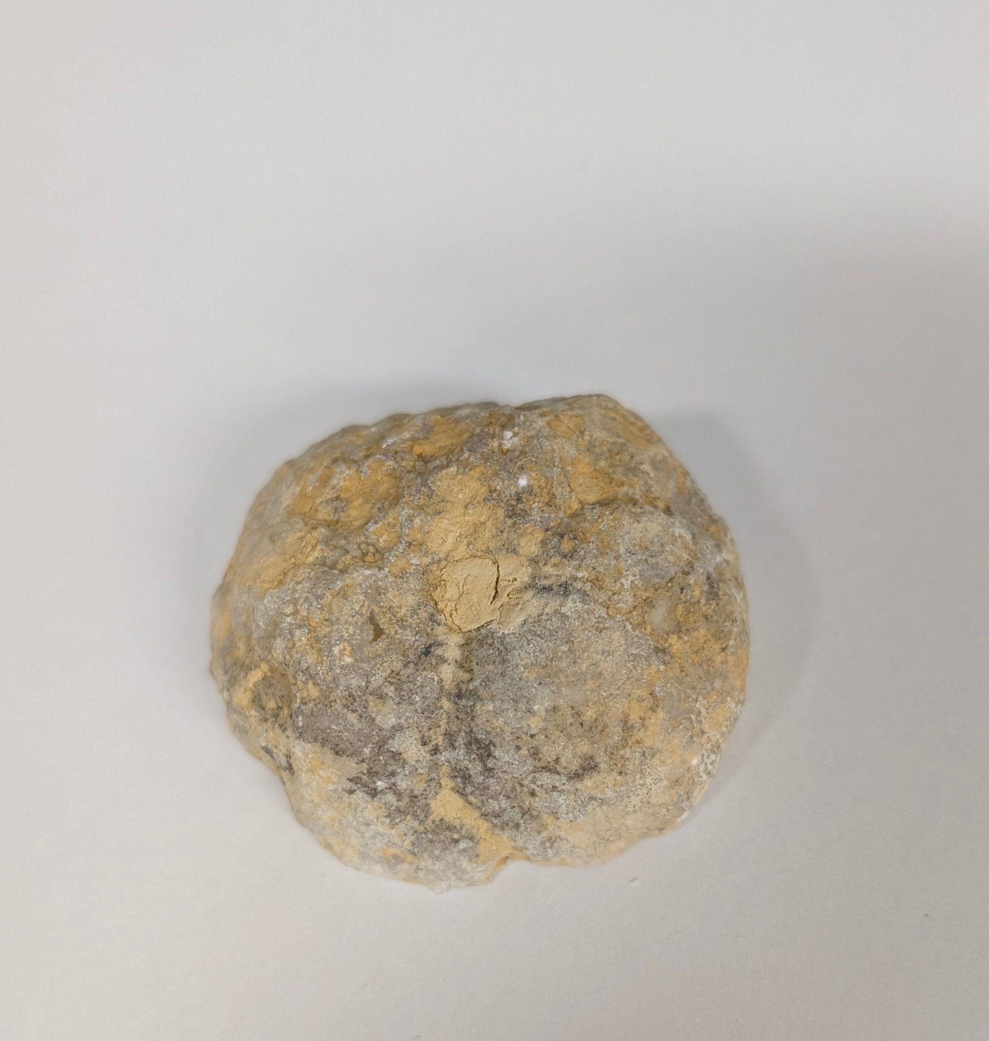 Polished Half Geode Czzjsan