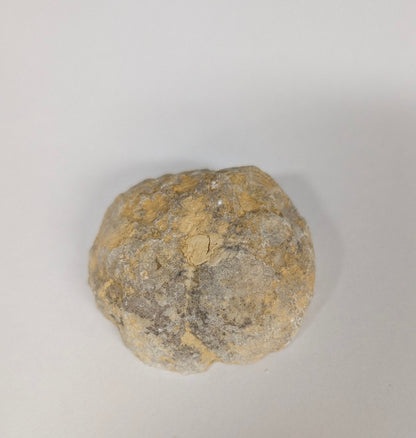 Polished Half Geode Czzjsan