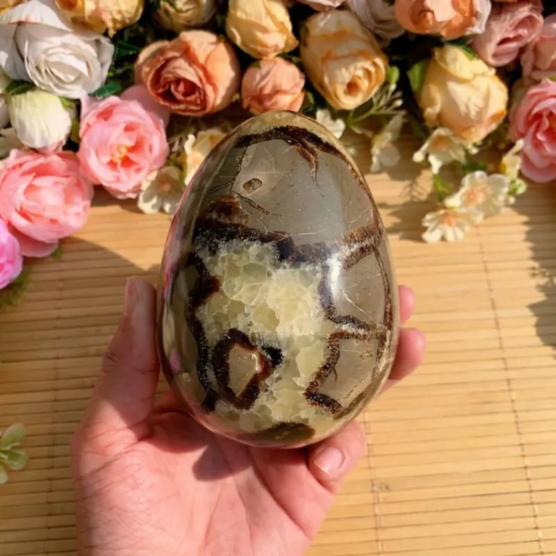 Septarian Dragon Egg - The Bookstore