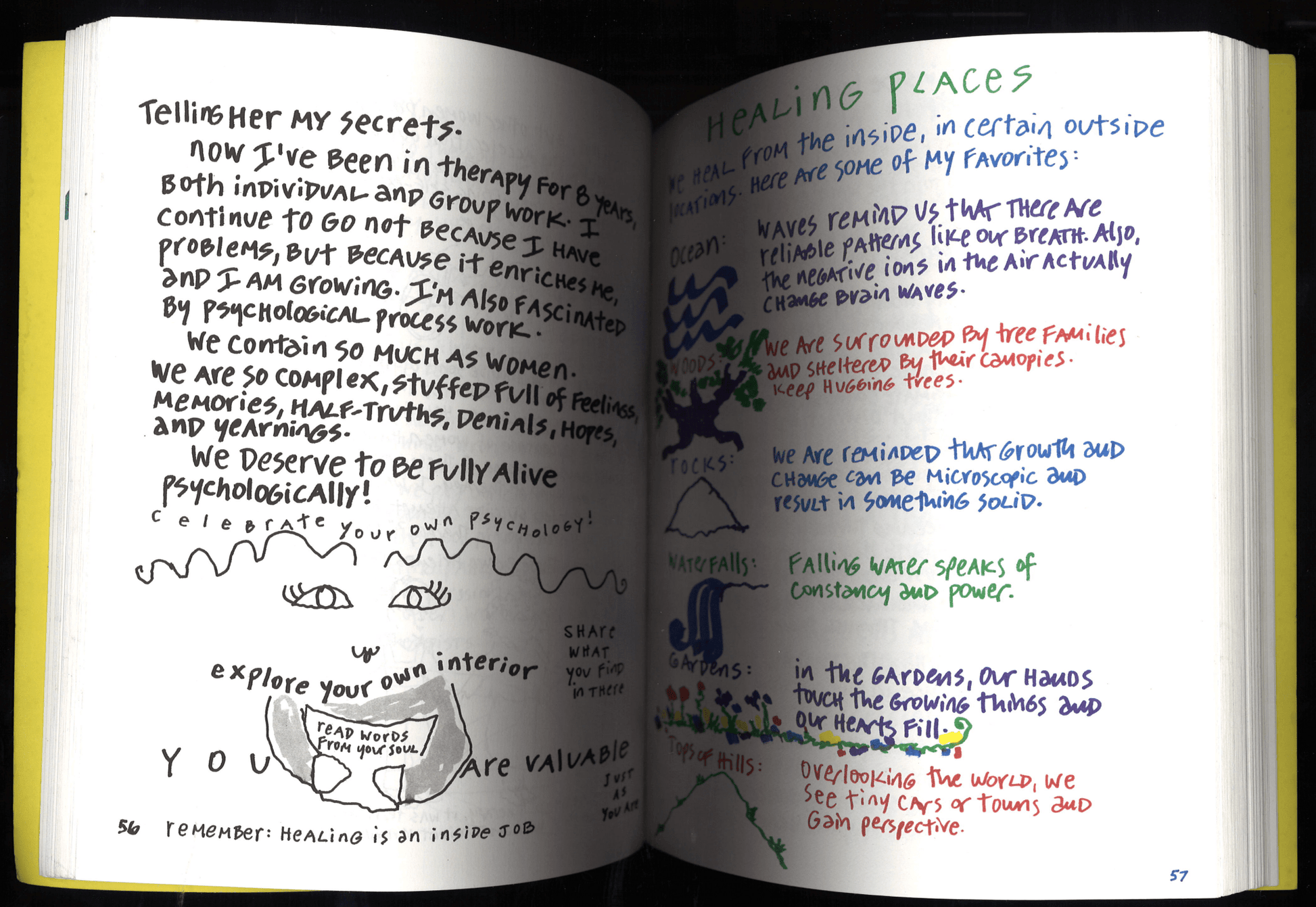 Succulent Wild Woman - The Bookstore