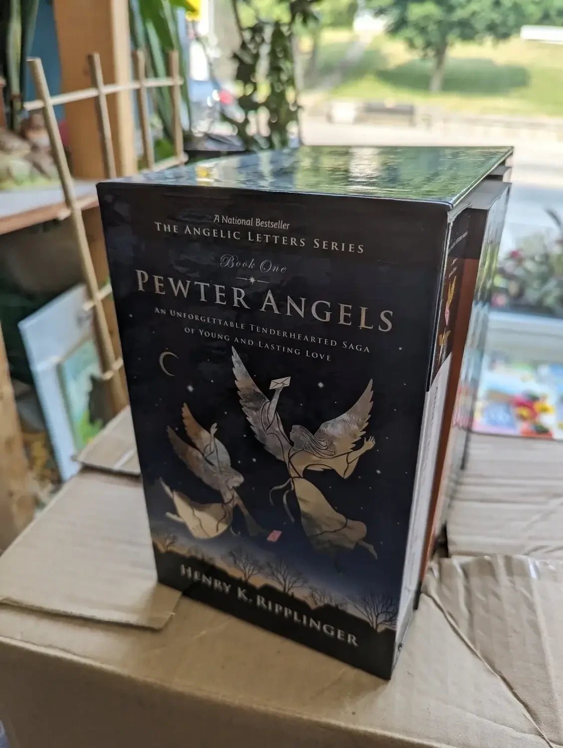 Henry Ripplinger The Angelic Letters Series 5 Book Box Set, Henry K. Ripplinger - The ...