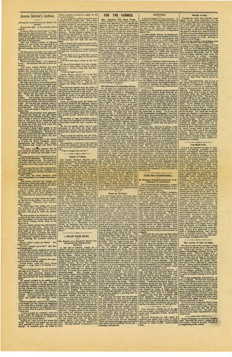 The Cardwell Sentinel — June 19, 1884 Facsimile Reproduction - The Bookstore