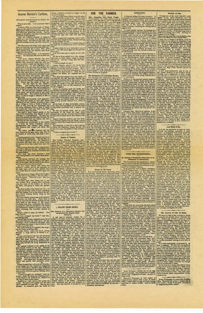 The Cardwell Sentinel — June 19, 1884 Facsimile Reproduction - The Bookstore