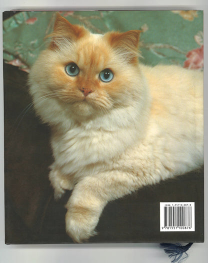 The Cat Lovers Companion: A Book of Cat Days and Cat Ways - The Bookstore