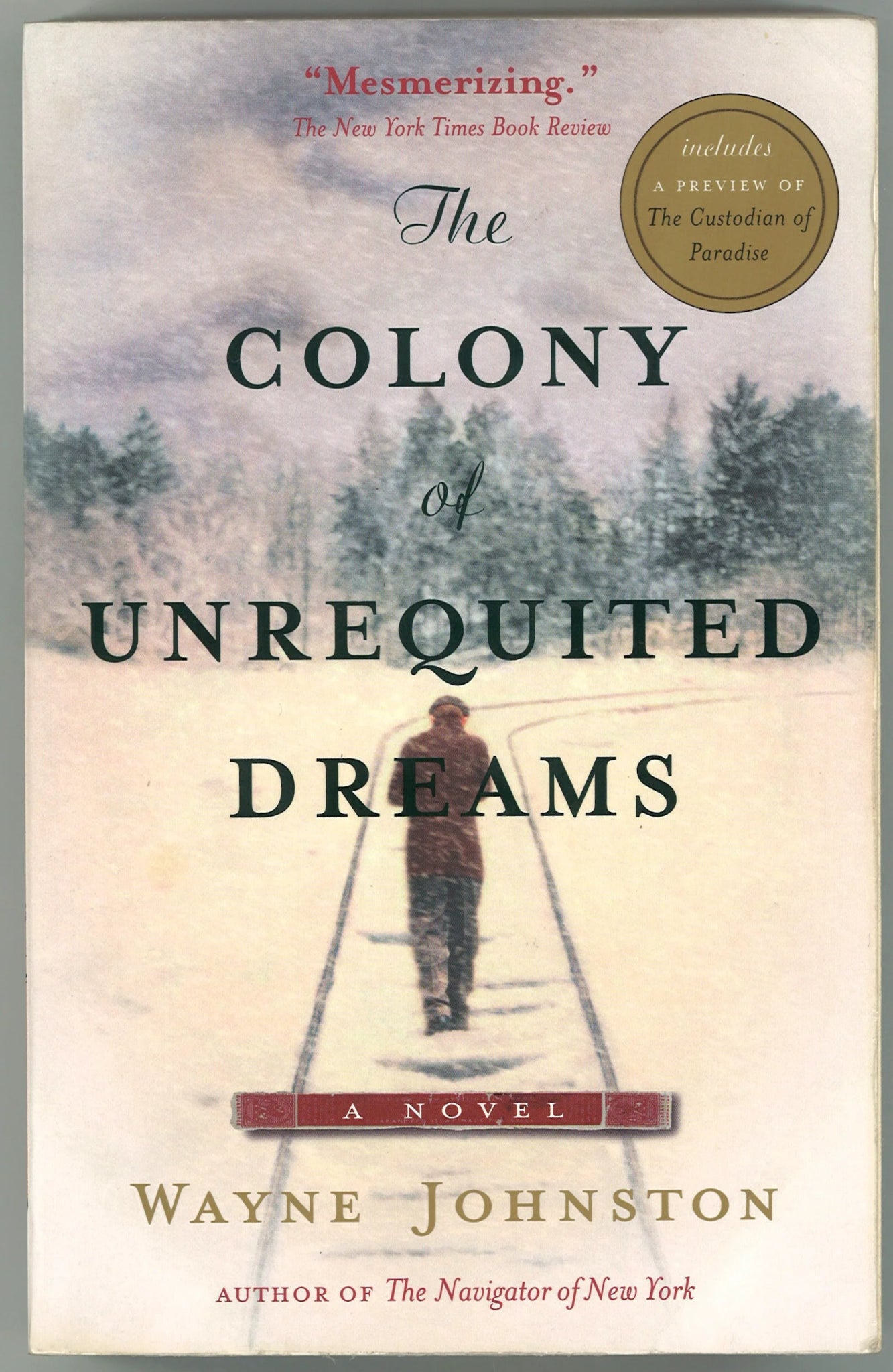 The Colony Of Unrequited Dreams - The Bookstore