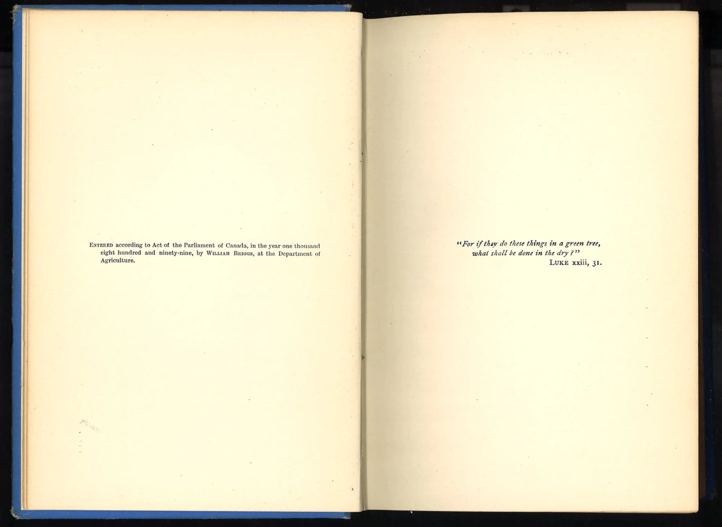 The Cross Triumphant - First Edition 1899 - The Bookstore