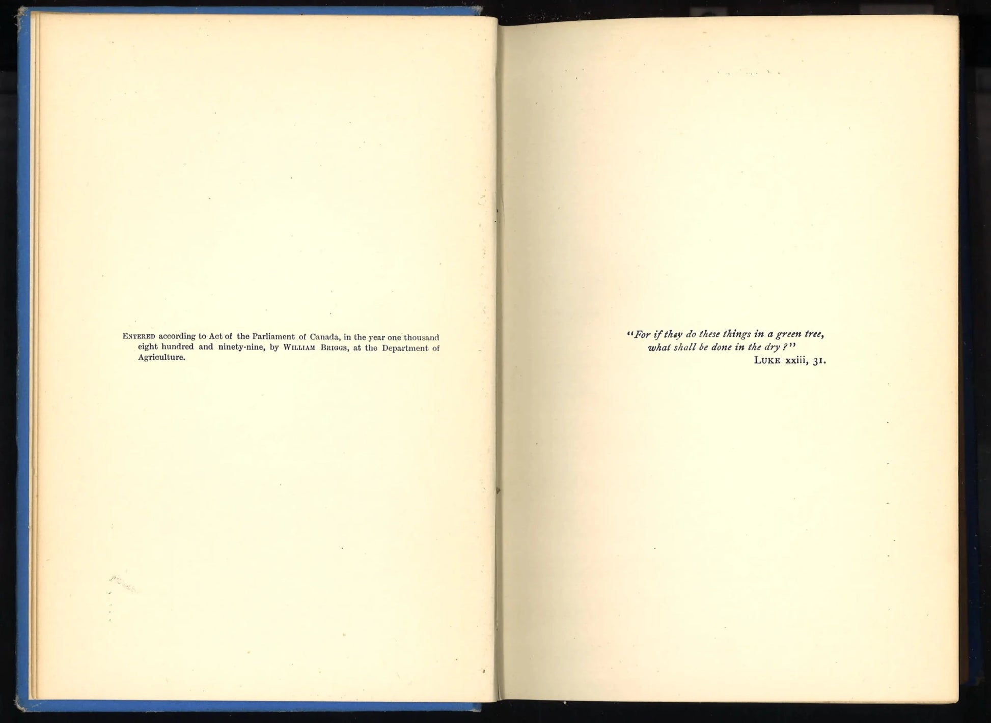 The Cross Triumphant - First Edition 1899 - The Bookstore