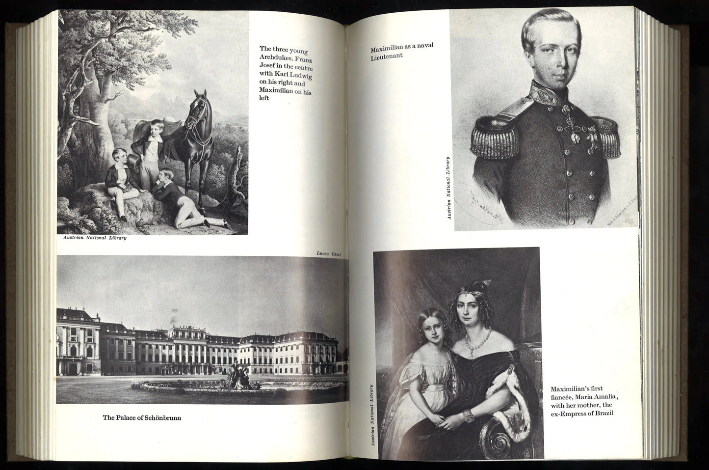 The Crown of Mexico: Maximillian and His Empress Carlota - The Bookstore