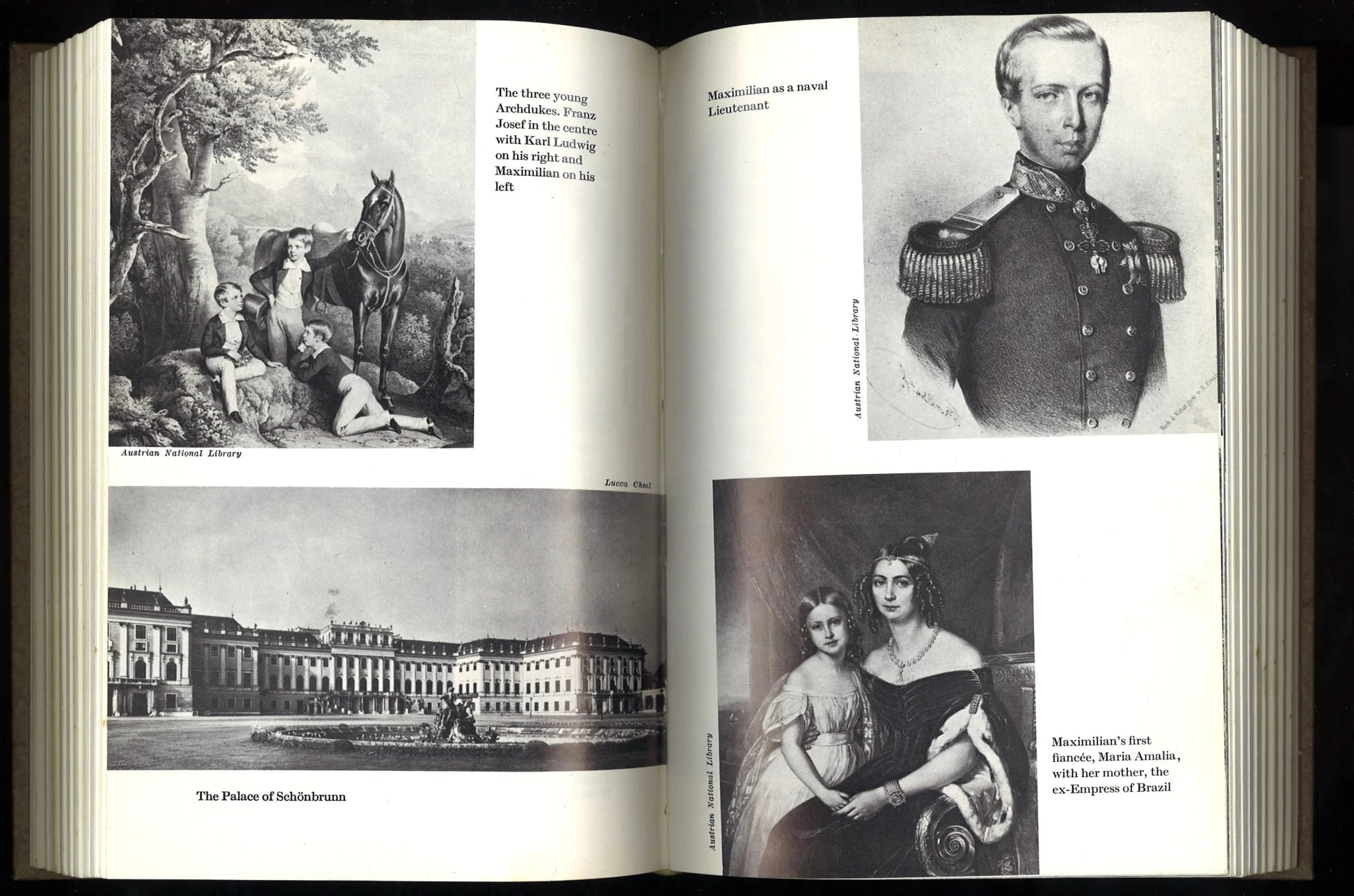 The Crown of Mexico: Maximillian and His Empress Carlota - The Bookstore