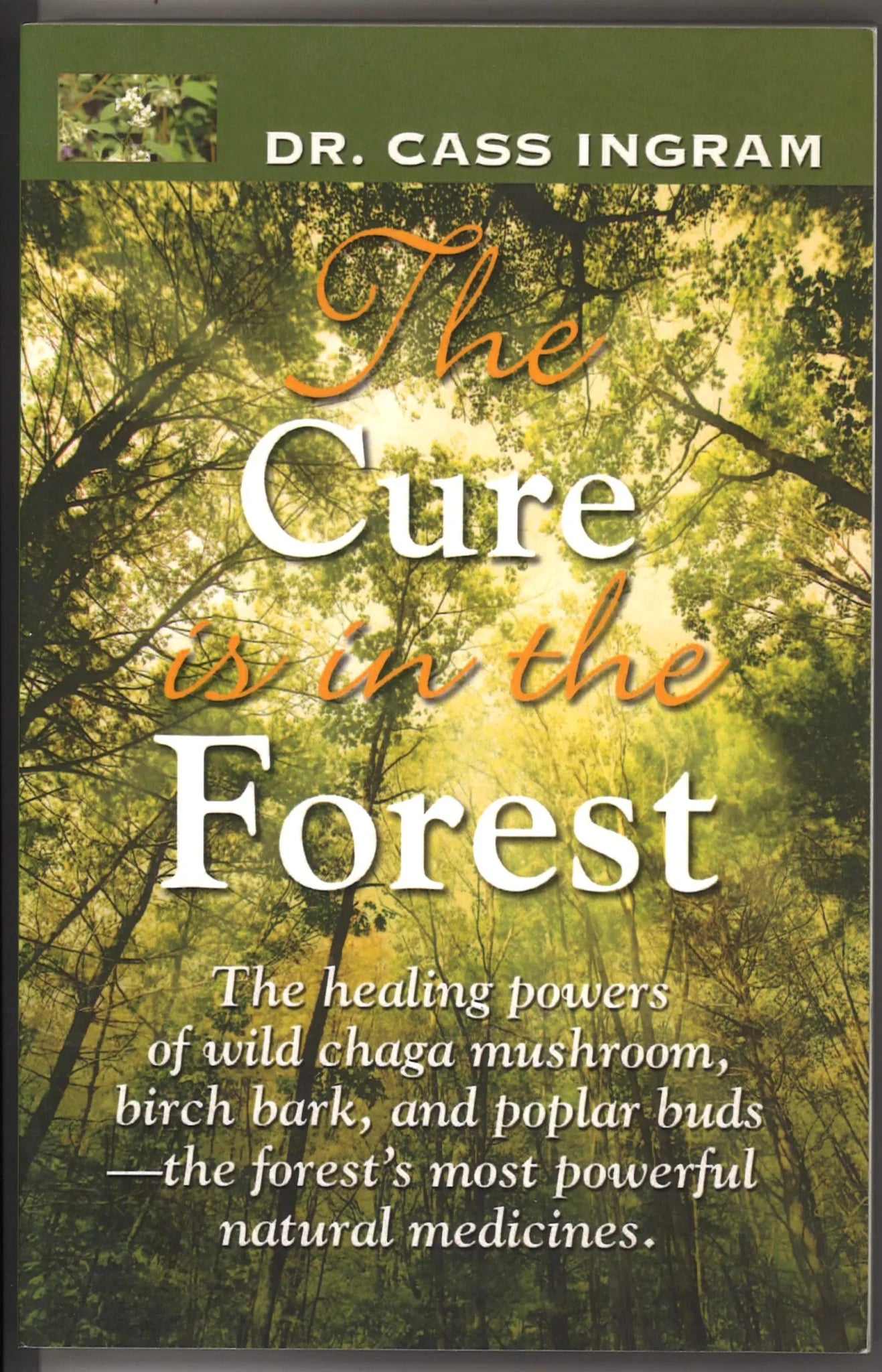 The Cure Is in the Forest: The Healing Powers of Wild Chaga Mushroom, Birch Bark, and Poplar Buds - The Forest's Most Powerful Natural Medicines - The Bookstore