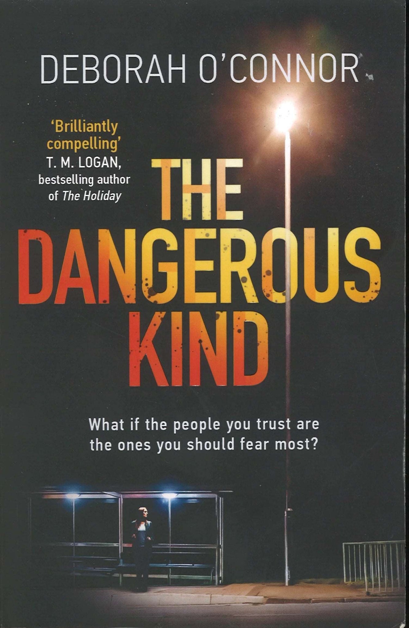 The Dangerous Kind - The Bookstore