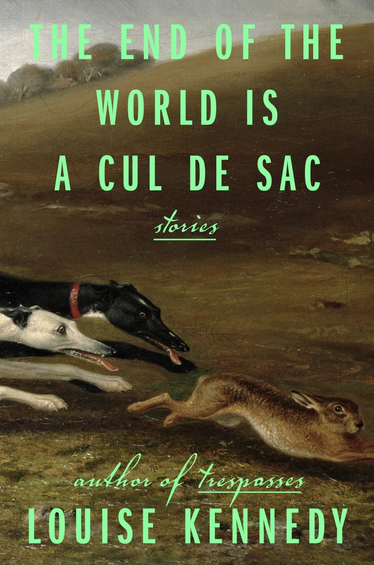 The End of the World Is a Cul de Sac: Stories Louise Kennedy