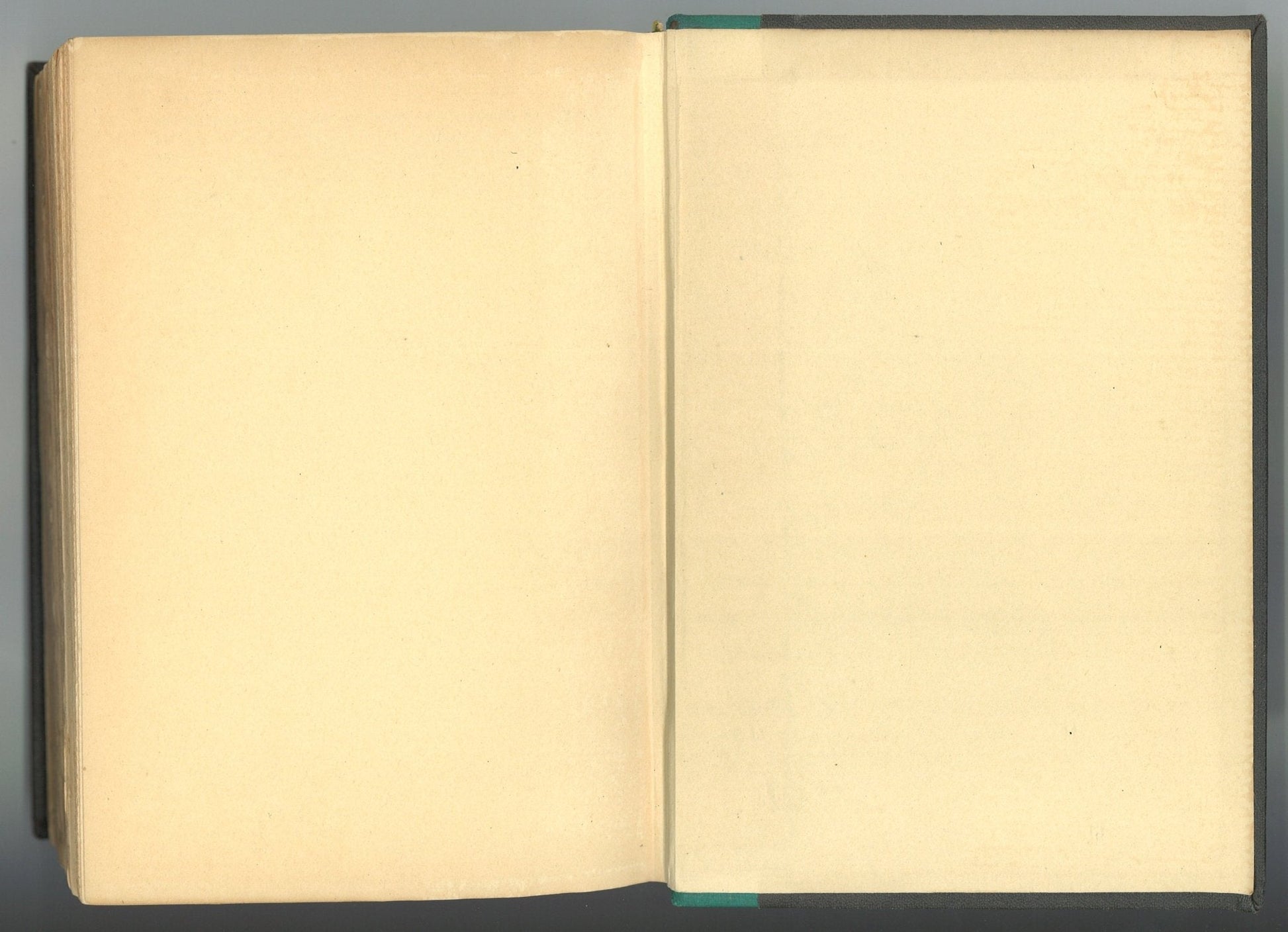 The Essays of Michel De Montaigne (Illustrated by Salvador Dali) Michel de Montaigne