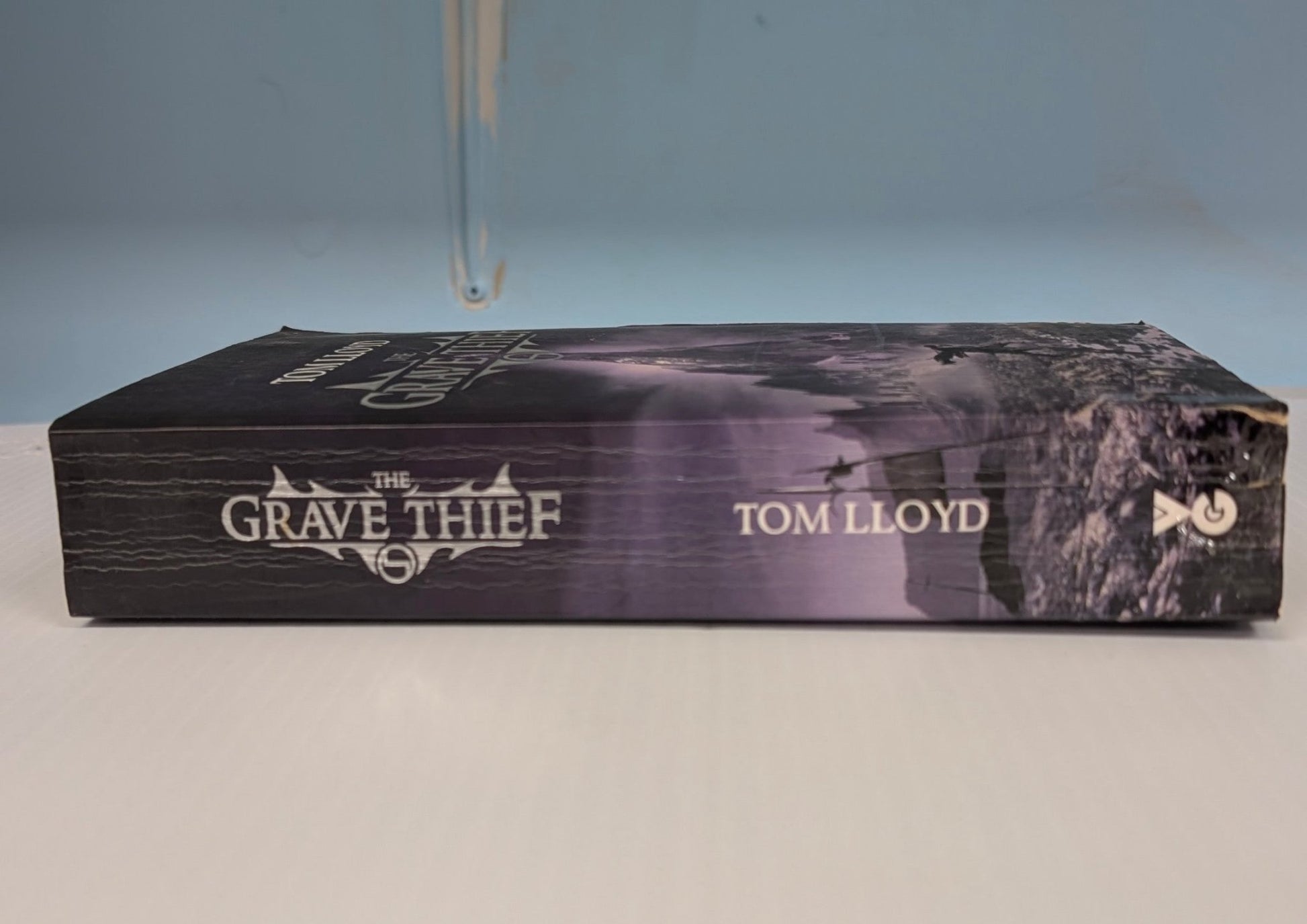 The Grave Thief (The Twilight Reign, Book 3) - The Bookstore