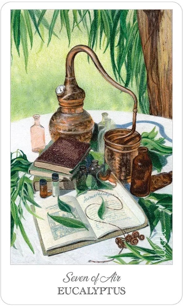 The Herbcrafter’s Tarot by Latisha Guthrie - The Bookstore