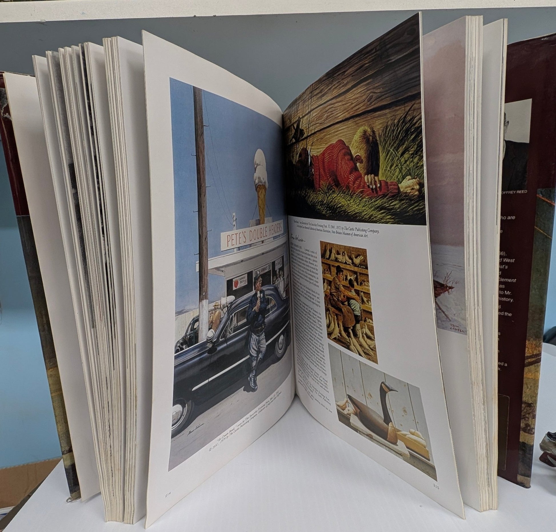 The Illustrator in America 1880 - 1980: A Century of Illustrations - The Bookstore