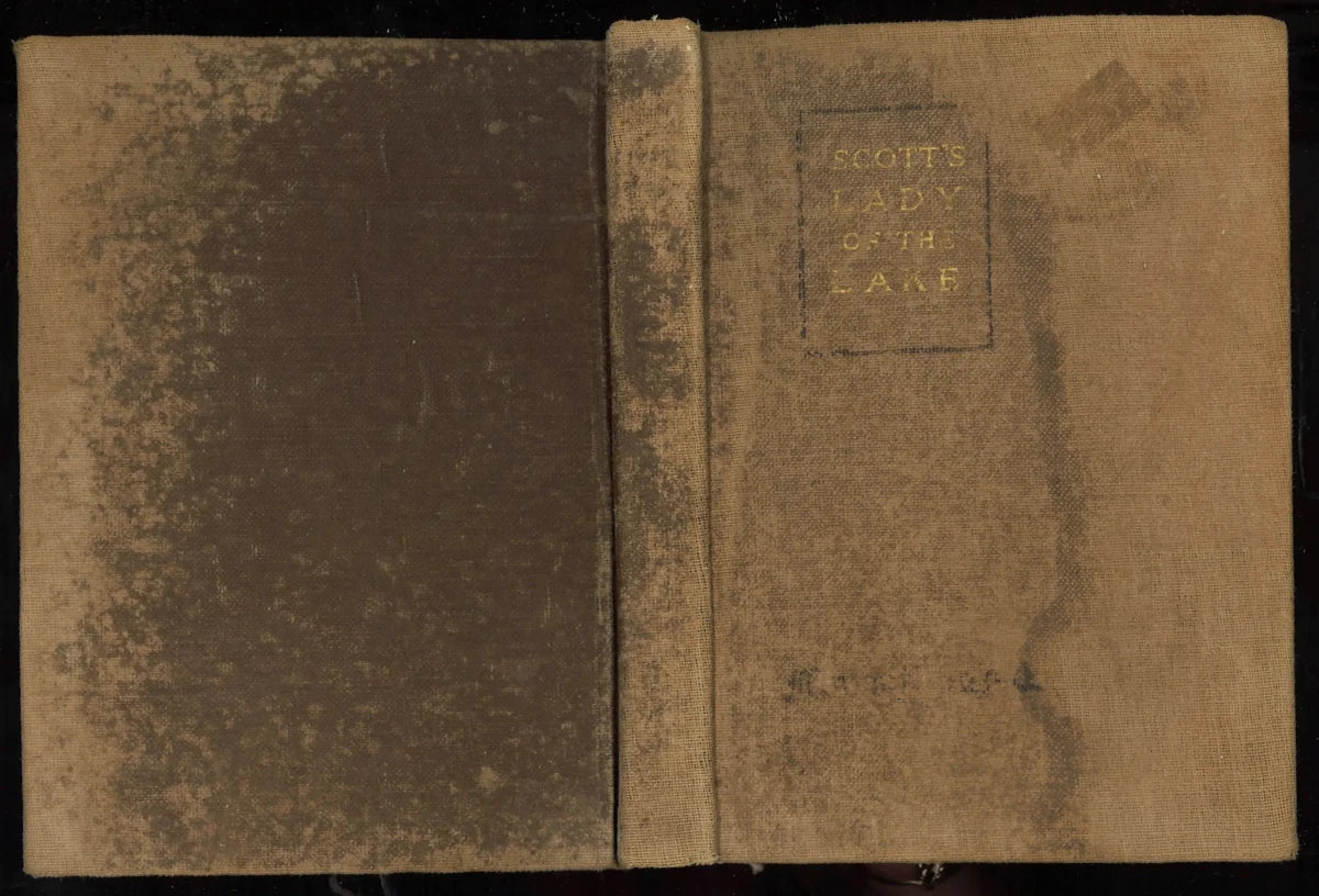 The Lady of The Lake by Walter Scott (1919) - The Bookstore