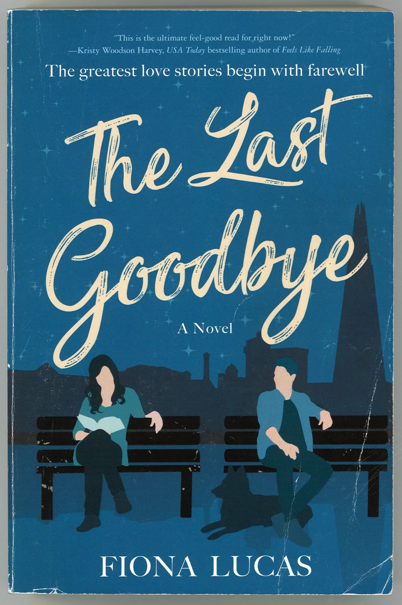 The Last Goodbye: A Novel - The Bookstore