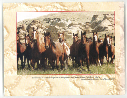 The Linder Legend: The Story of ProRodeo and Its Champion (Signed) Harald Gunderson