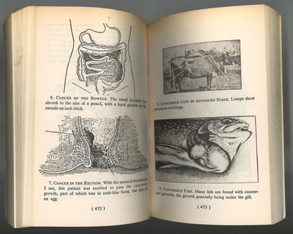 The Original Back to Eden: A Human Interest Story of Health and Restoration to be Found in Herb, Root and Bark - The Bookstore