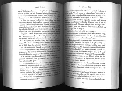 The Prisoner's Wife - The Bookstore