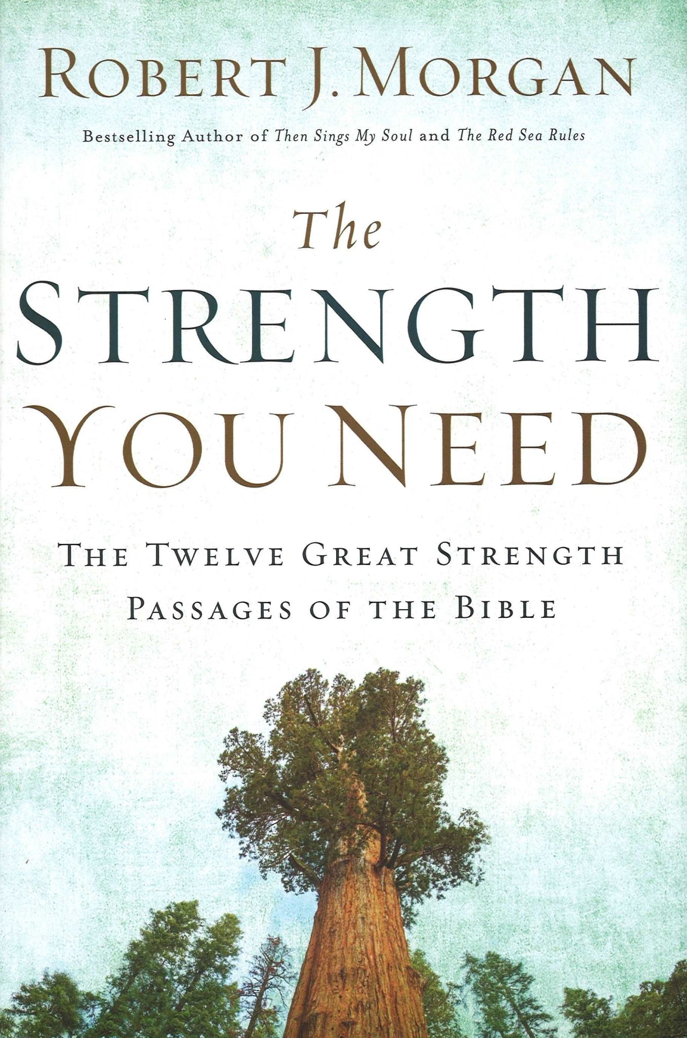 The Strength You Need - The Bookstore