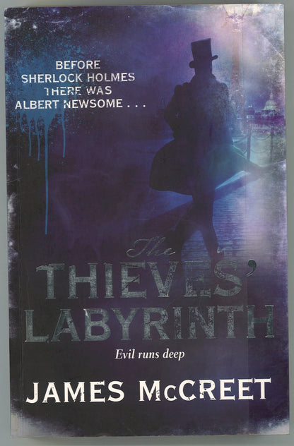 The Thieves' Labyrinth - The Bookstore
