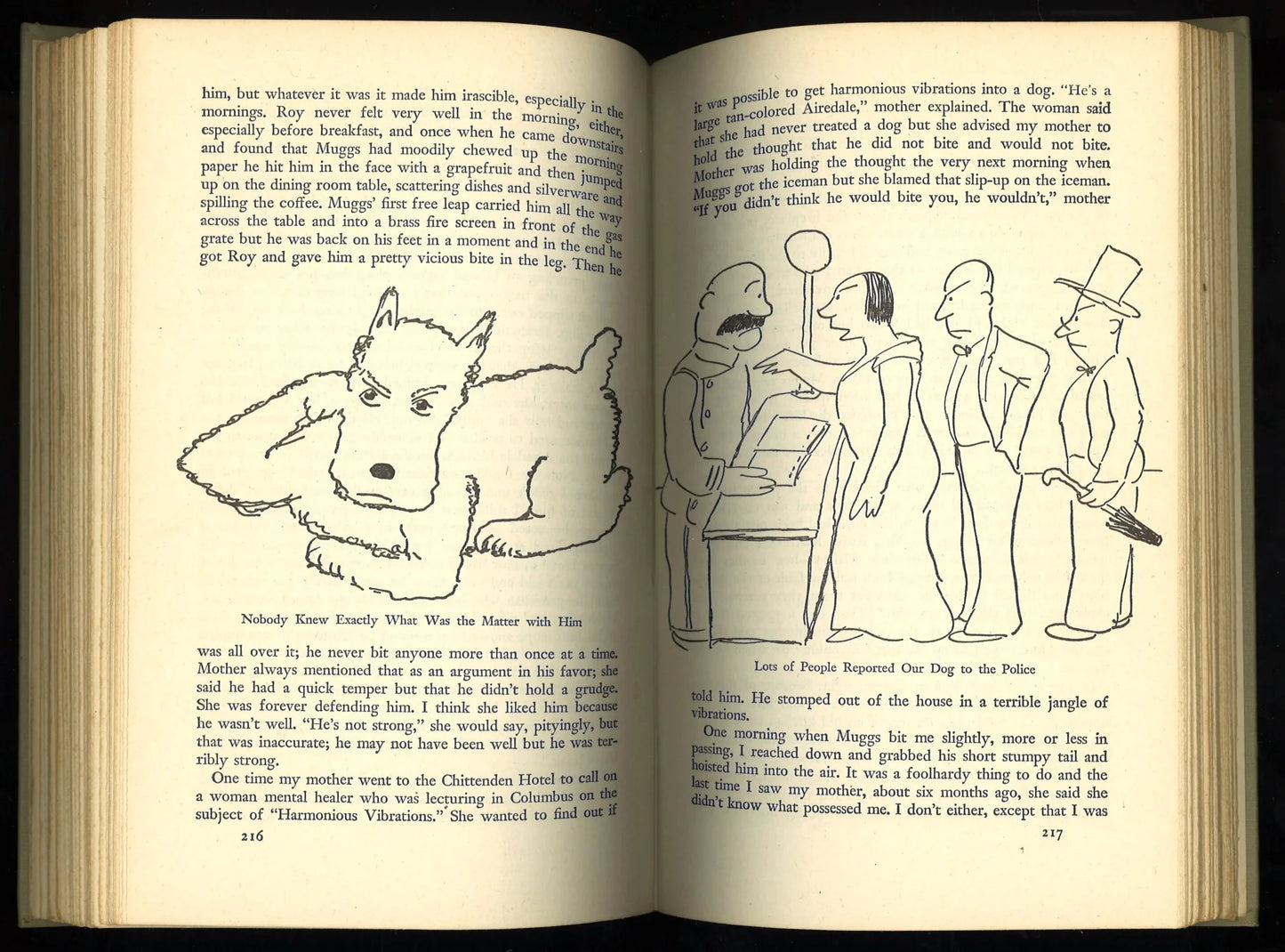 The Thurber Carnival (1945) - The Bookstore