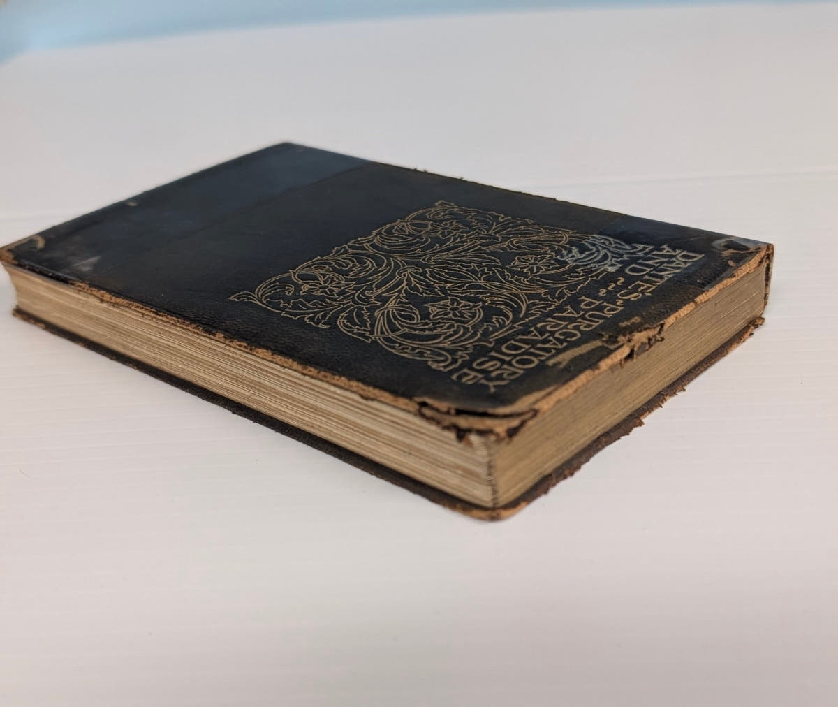 The Vision of Purgatory and Paradise (1906) - The Bookstore