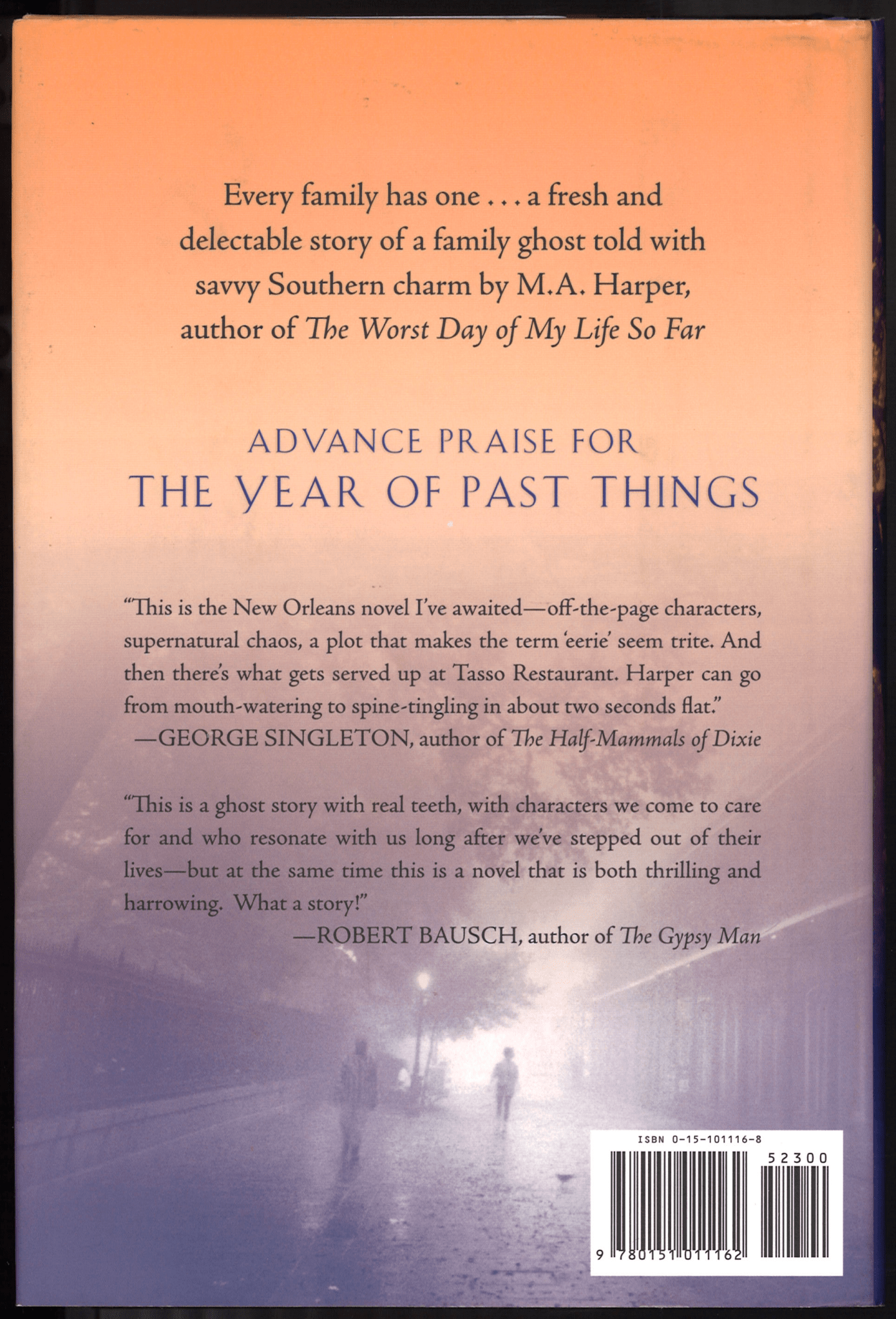 The Year of Past Things - The Bookstore