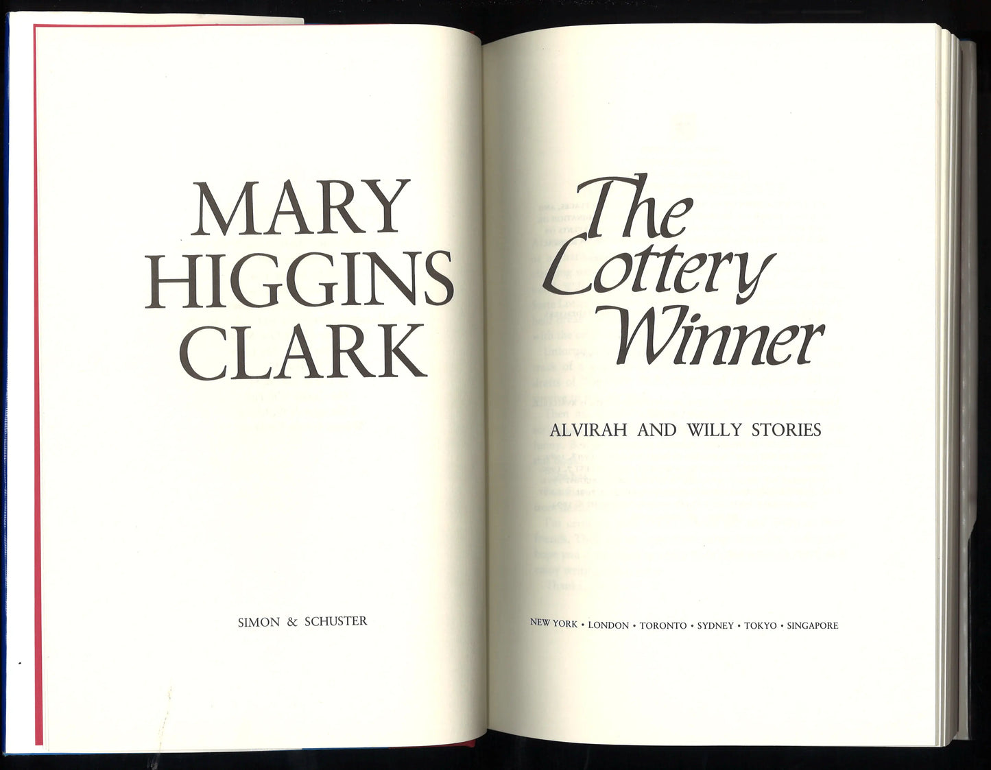 The Lottery Winner (Alvirah and Willy Stories)