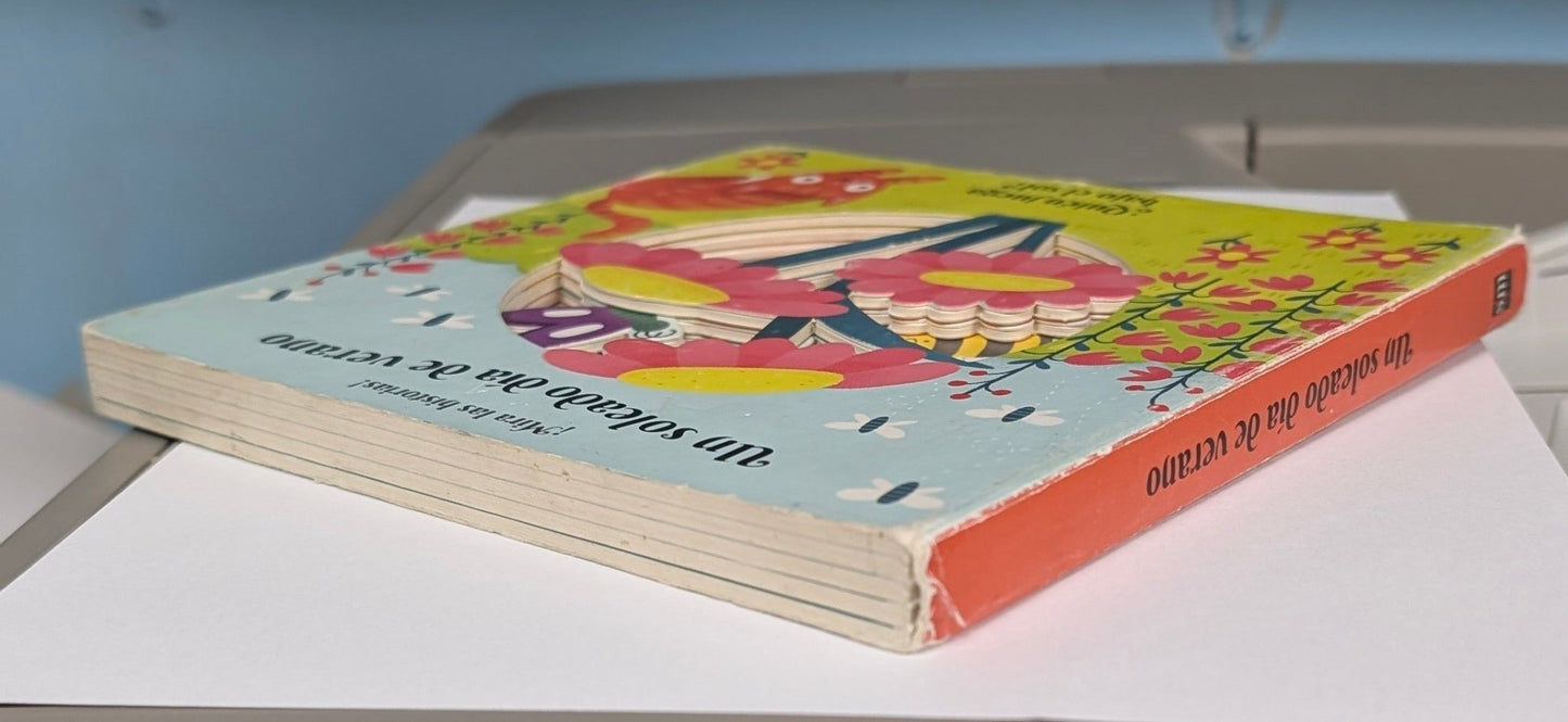 Un Soleado Día de Verano: ¿Quién Juega Bajo el Sol? - The Bookstore