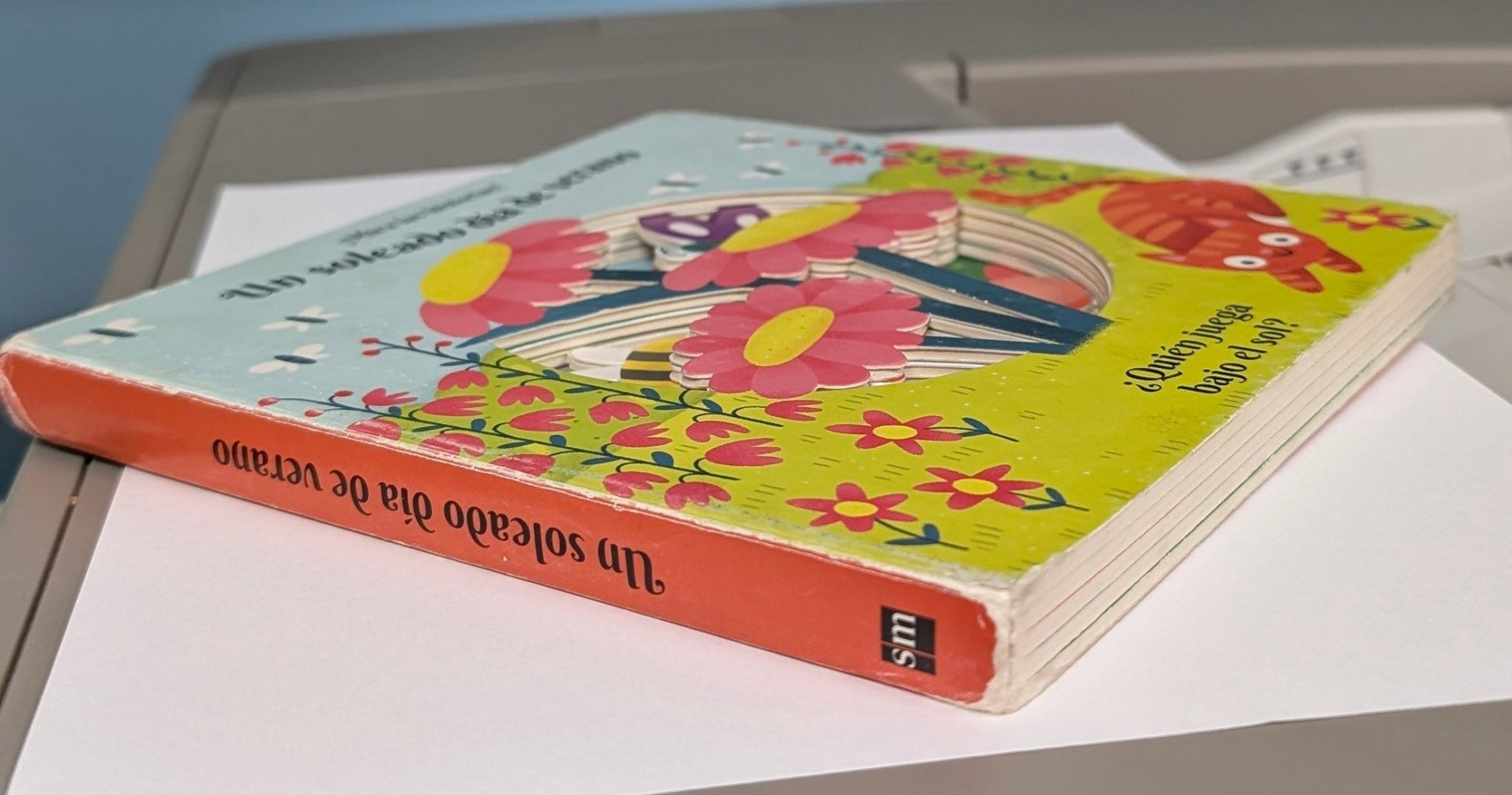 Un Soleado Día de Verano: ¿Quién Juega Bajo el Sol? - The Bookstore