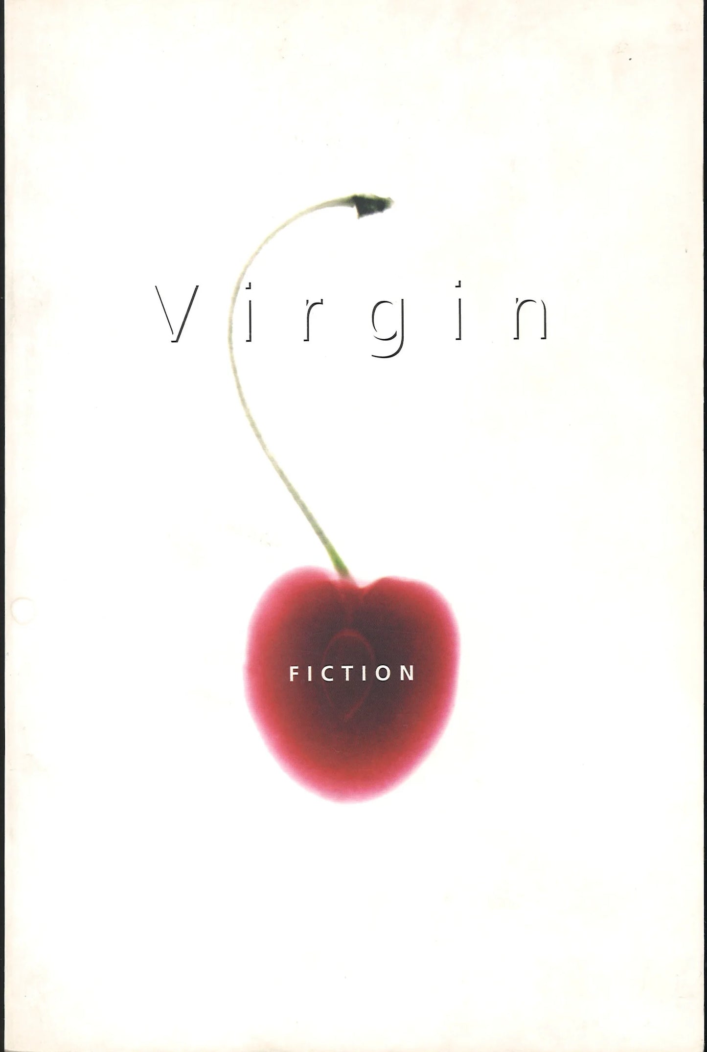 Virgin Fiction