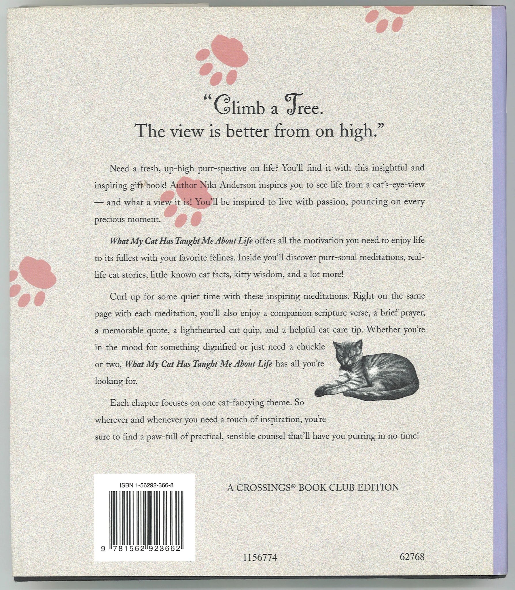 What My Cat Has Taught Me About Life: Meditations for Cat Lovers - The Bookstore