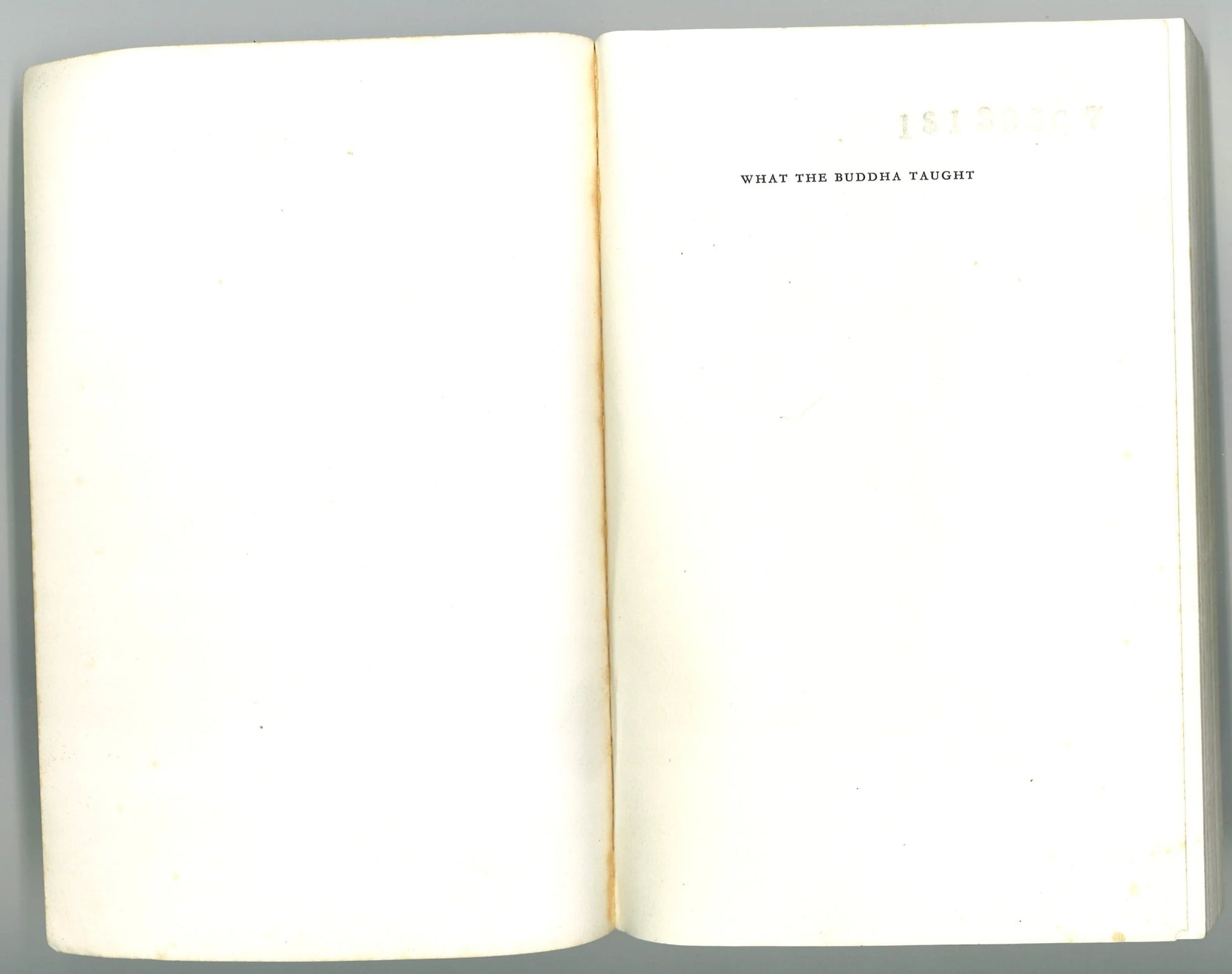 What The Buddha Taught Walpola Rahula