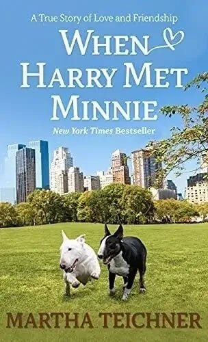 When Harry Met Minnie - The Bookstore